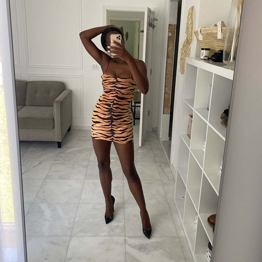 Reformation Tiger Dress